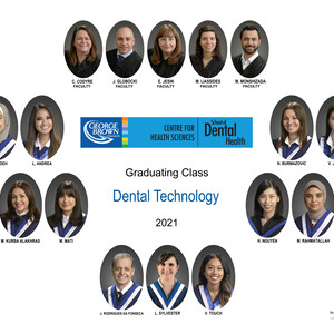 S100 GBC - Dental Technology Composite (2020 - 2021)