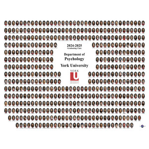 York University - Psychology Composite (2024 - 2025)