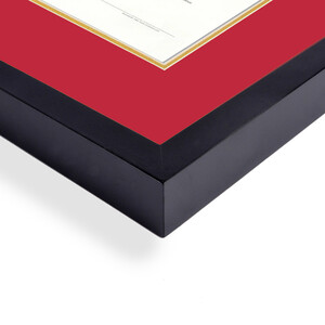 Diploma Frame University/College & RED MATTE